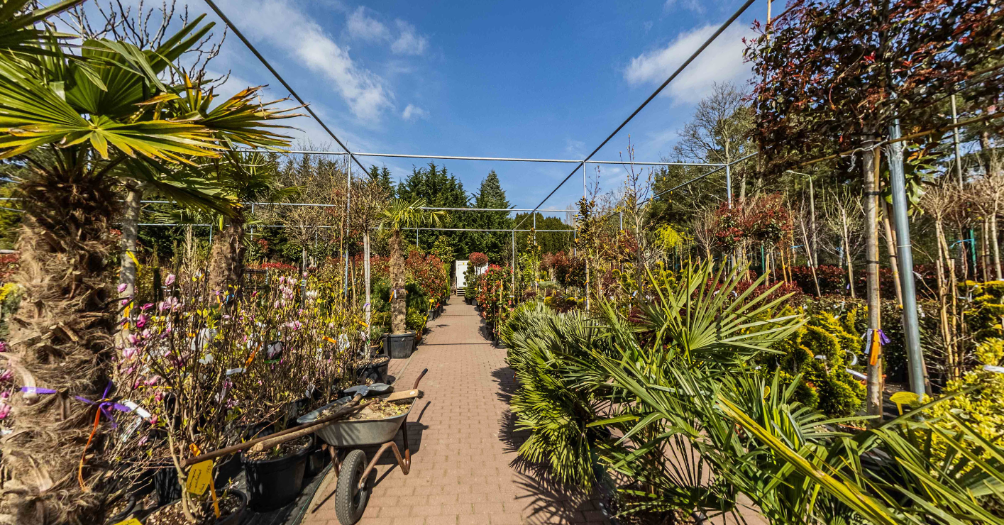 Grüner Holländer Pflanzencenter & Gartencenter Berlin-Reinickendorf